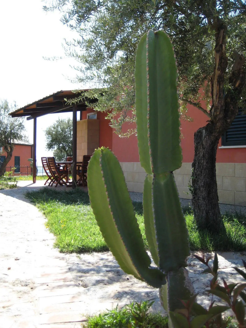 Residenza Mediterranea