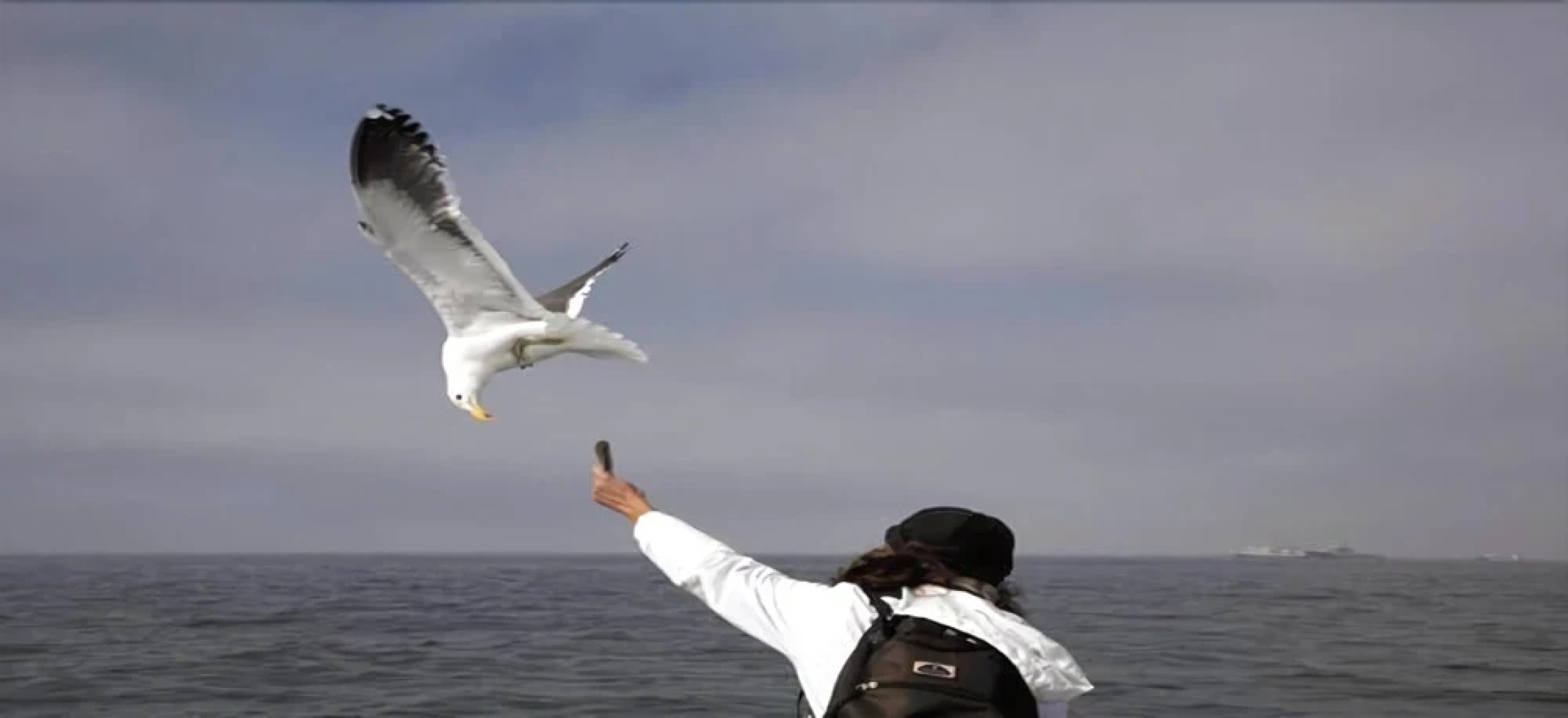 Royal Benguela Guesthouse