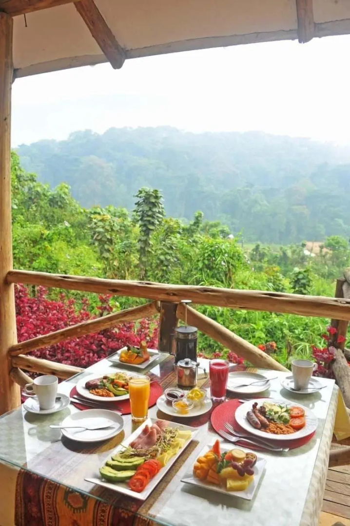 Gorilla Safari Lodge