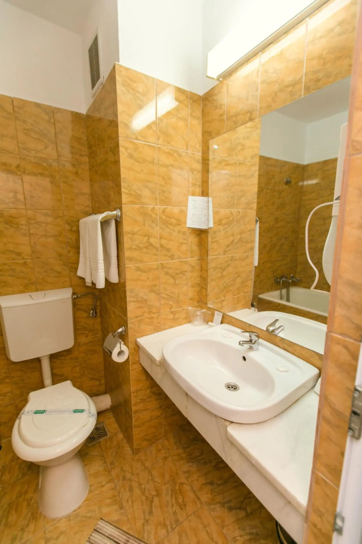 Hotel Poienita