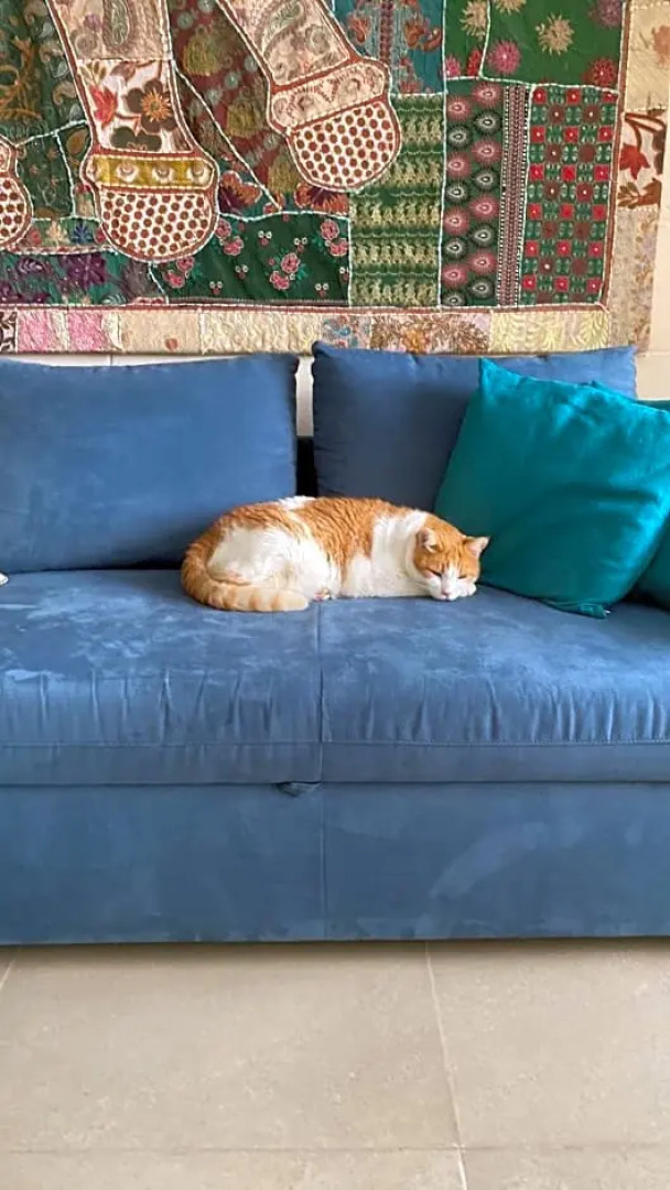 Gozo Hills Bed and Breakfast