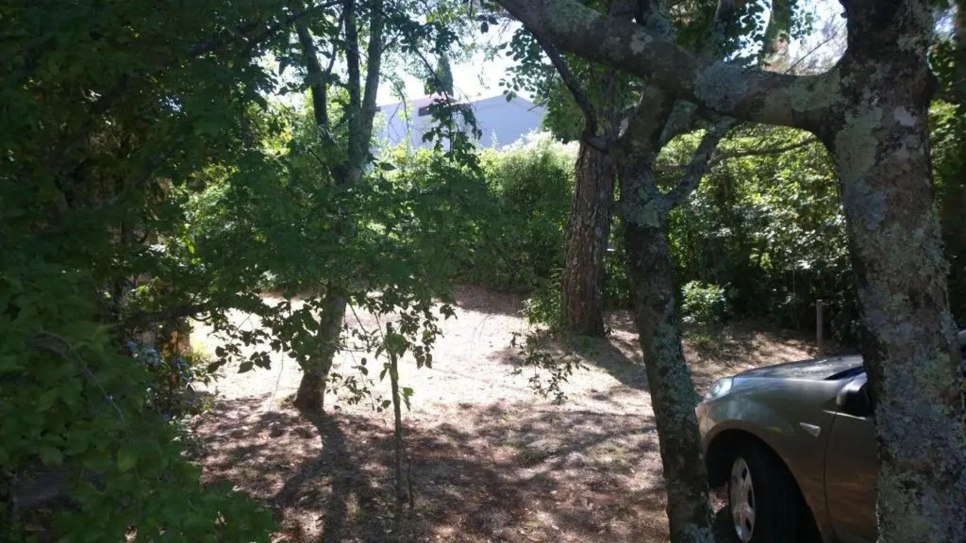 Holiday Home Momcilovic