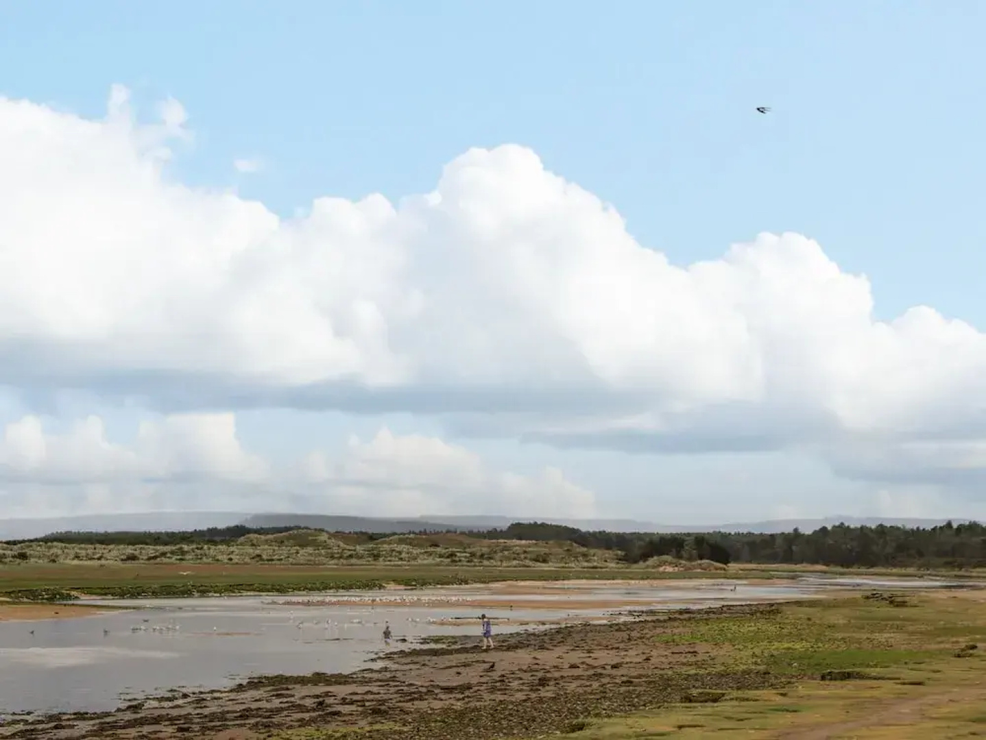 Lossiemouth Bay Cottage