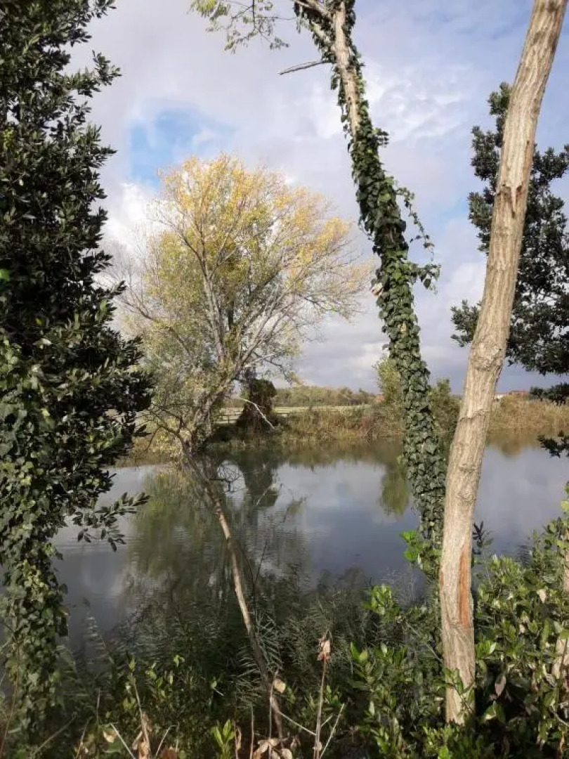 Tenuta Crescentini-ValleMura ,appartamenti con entrata indipendente