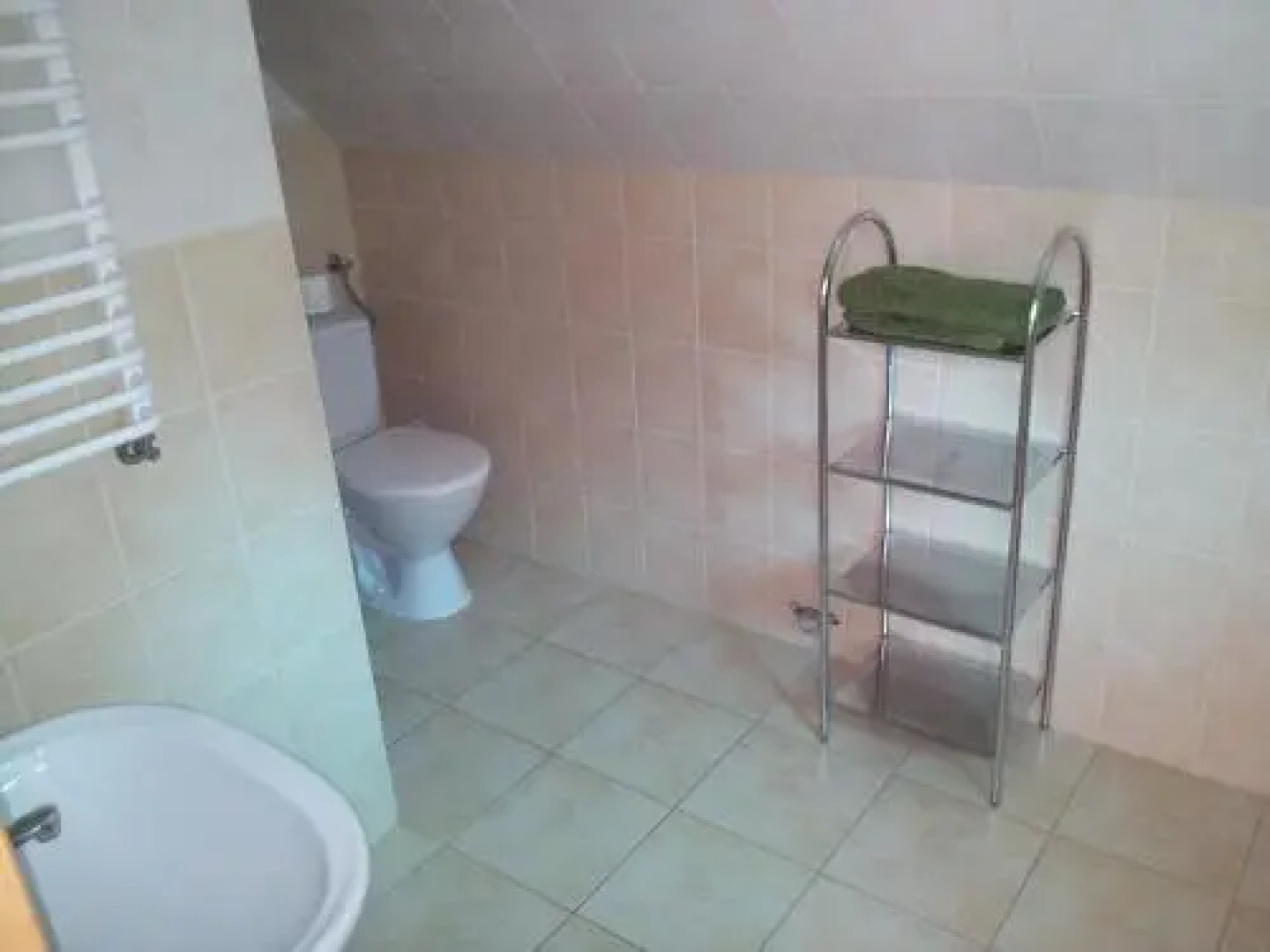 Pod Brzozą