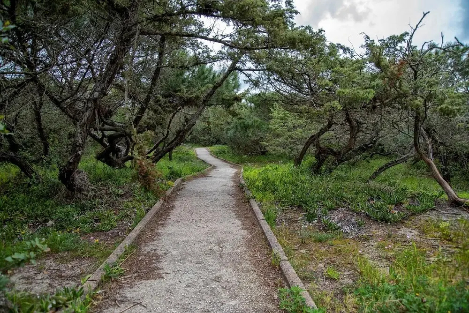 Villa Margherita 2 Bedrooms Apartment in Sorso