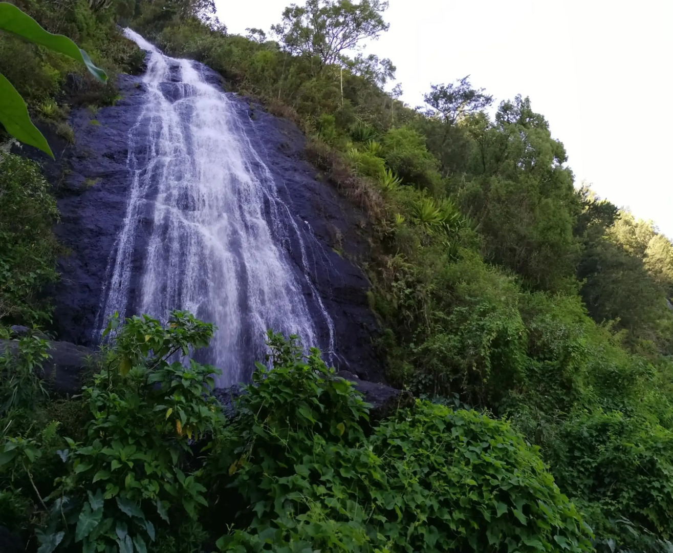 Meublé de tourisme " Le Jasmin Étoilé"- Hell-Bourg - SALAZIE