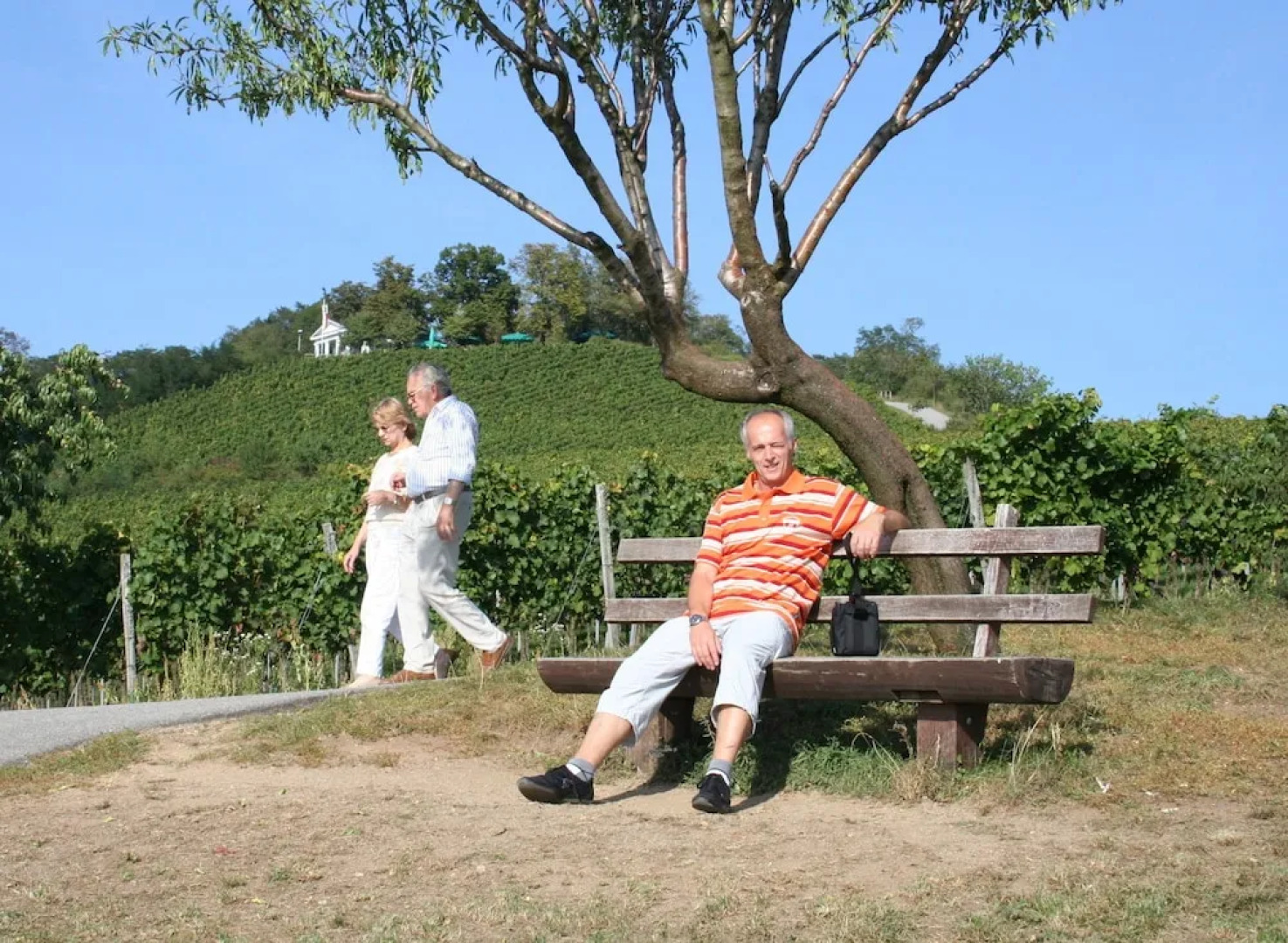 Boutique & Luxury-Apartments Horster