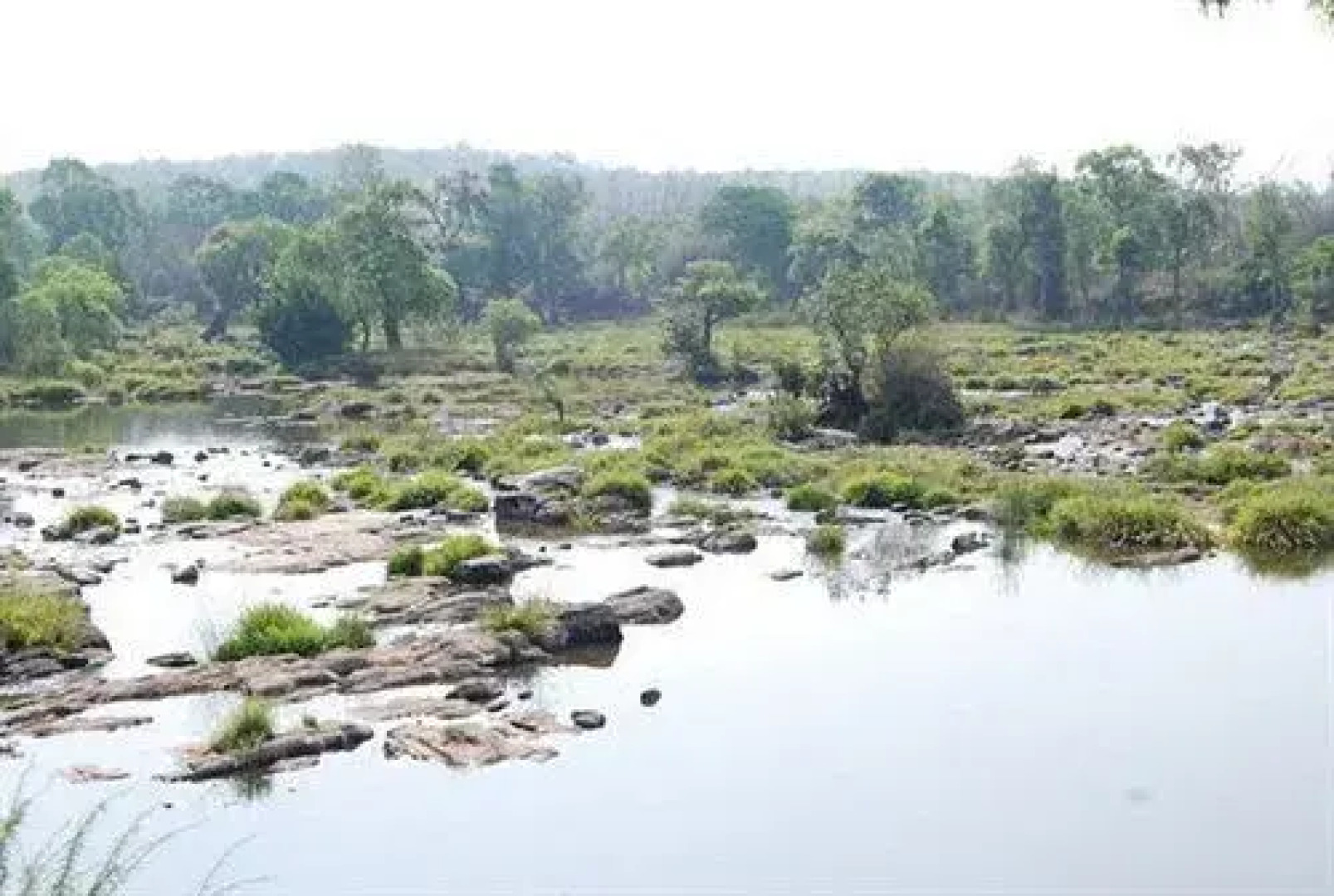 Coorg River View Resort