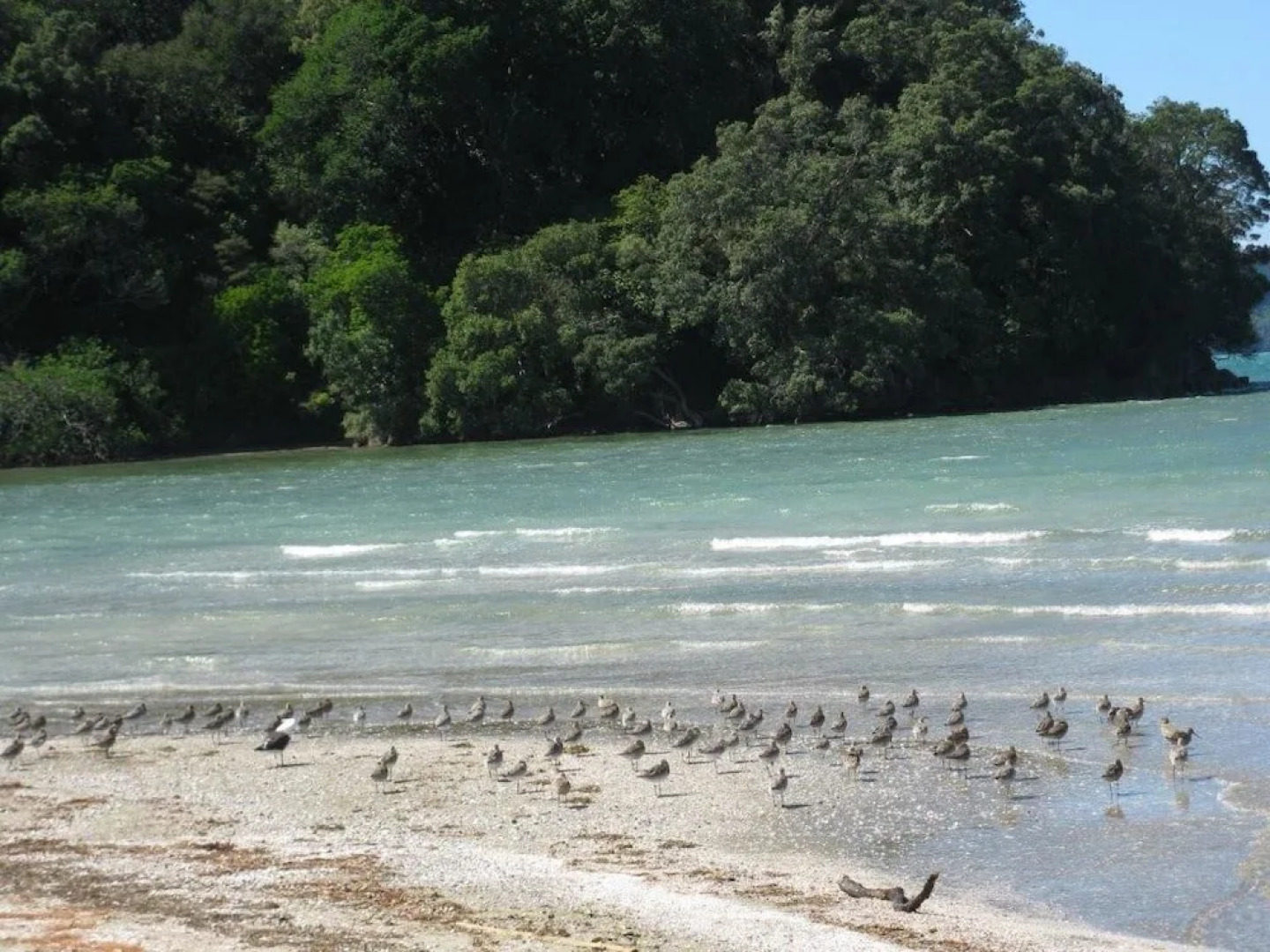 21 Hampton Bed & Breakfast