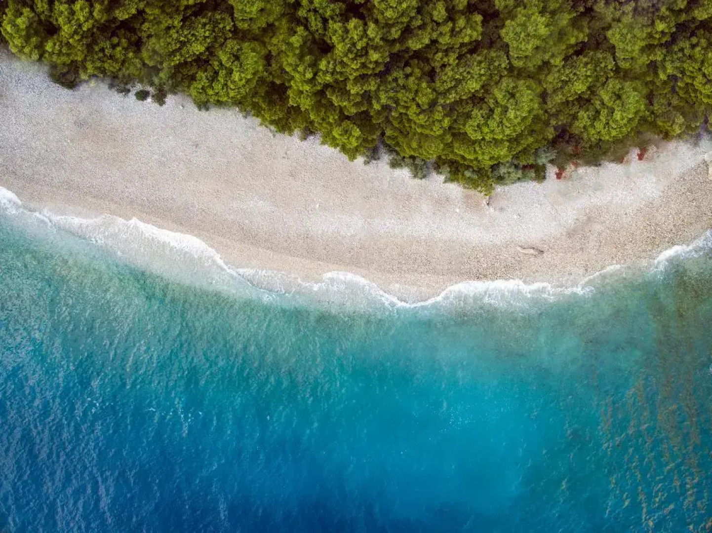 Bluesun Holiday Village Afrodita