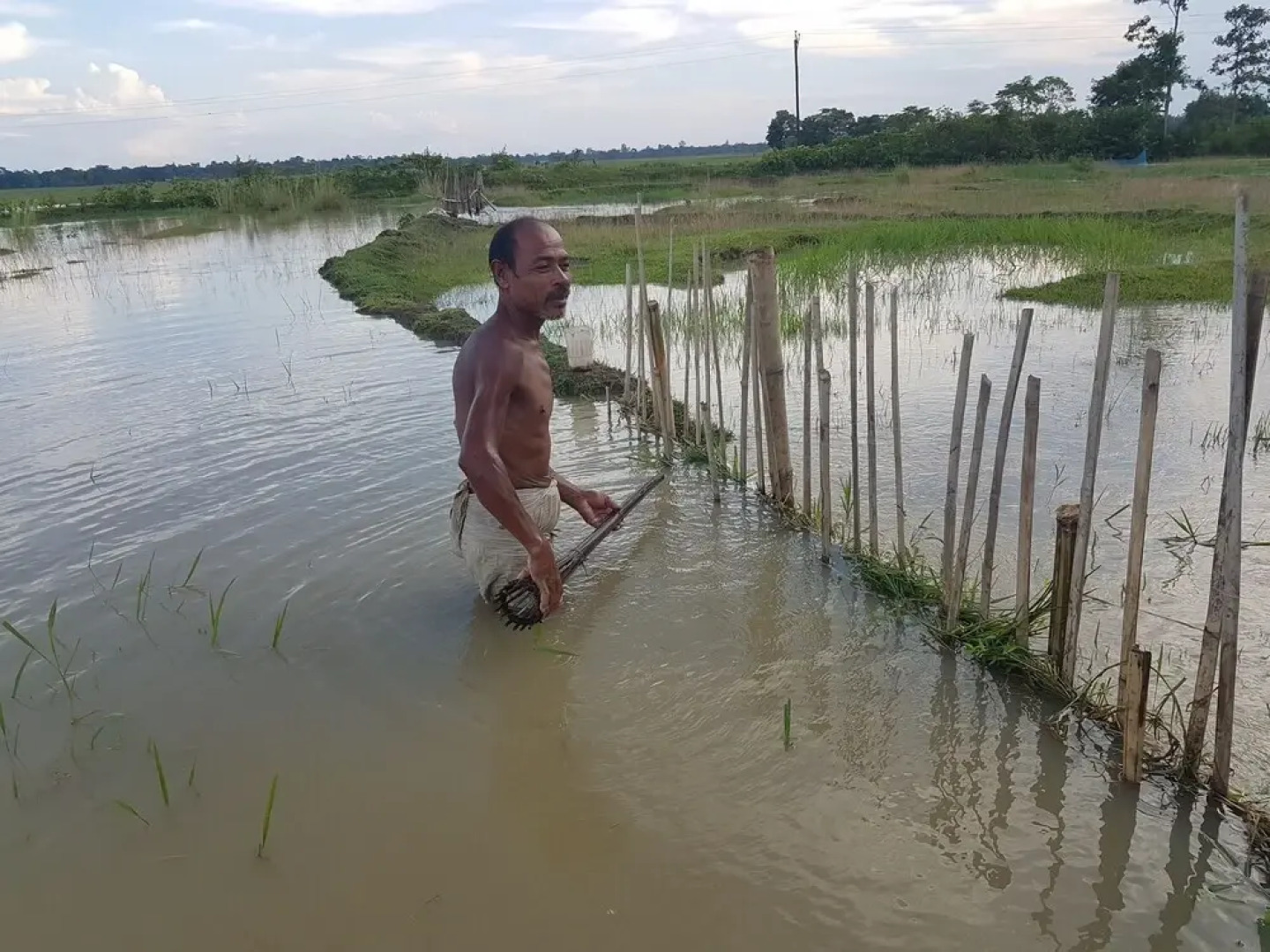 Homestay By the Tea Garden Dibrugarh