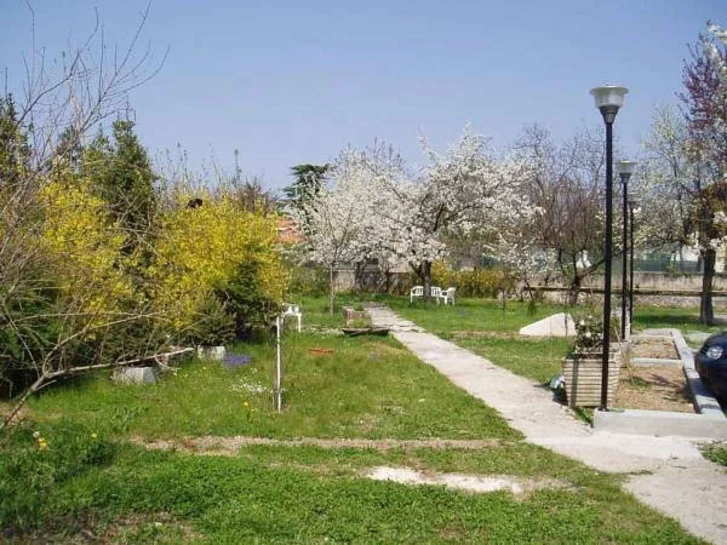LAngolo Dei Ciliegi