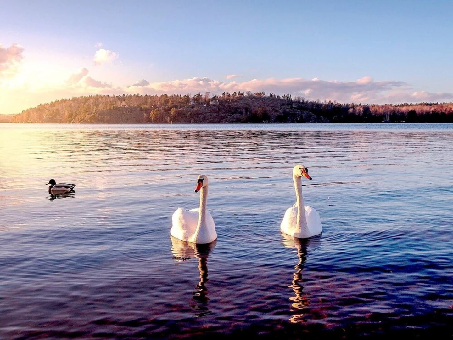 5 Star Holiday Home in Enköping