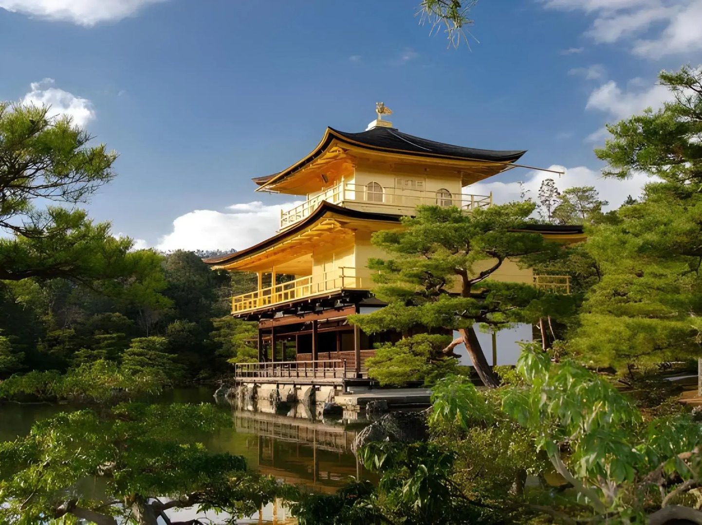 Отель Meldia Stay Nijojo