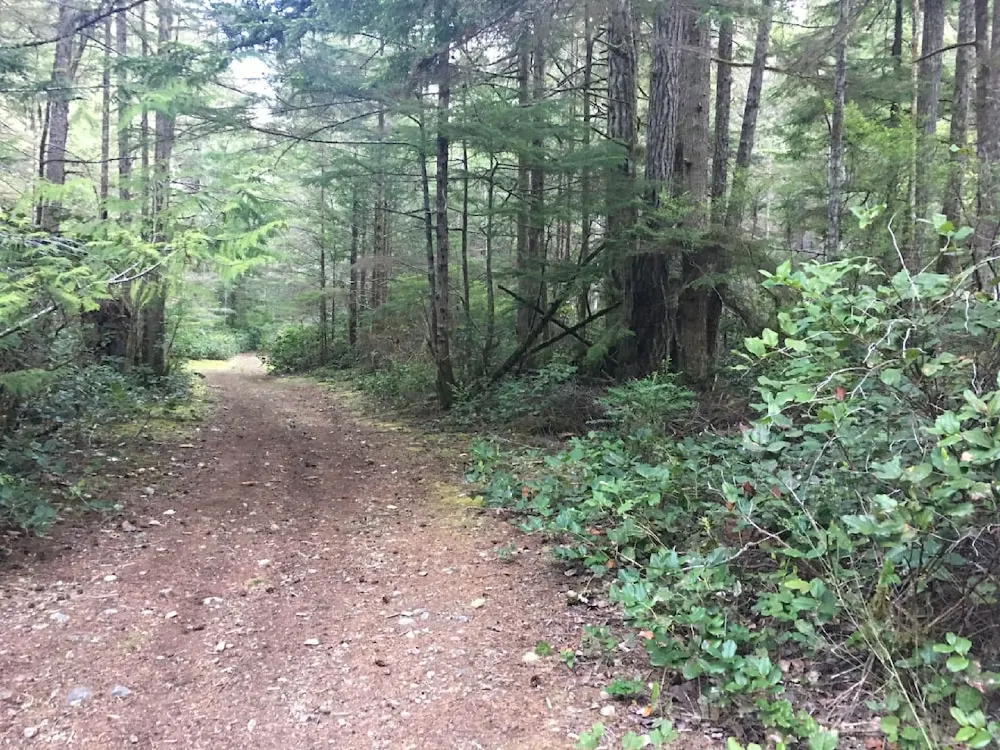 The Great Escape-Shirley with Hot Tub