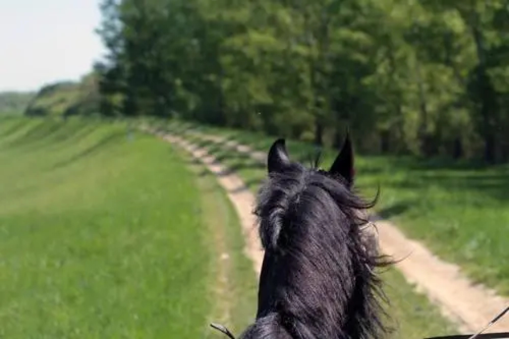 Vass-Villa Vendégház