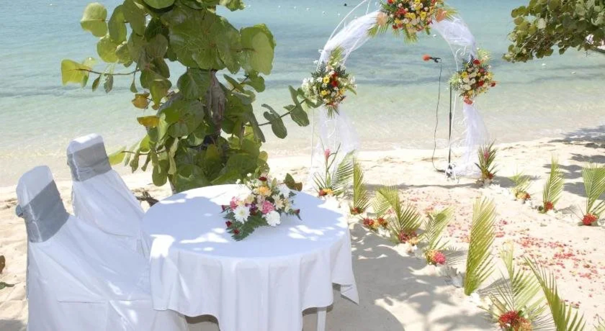 Shields Negril Villas