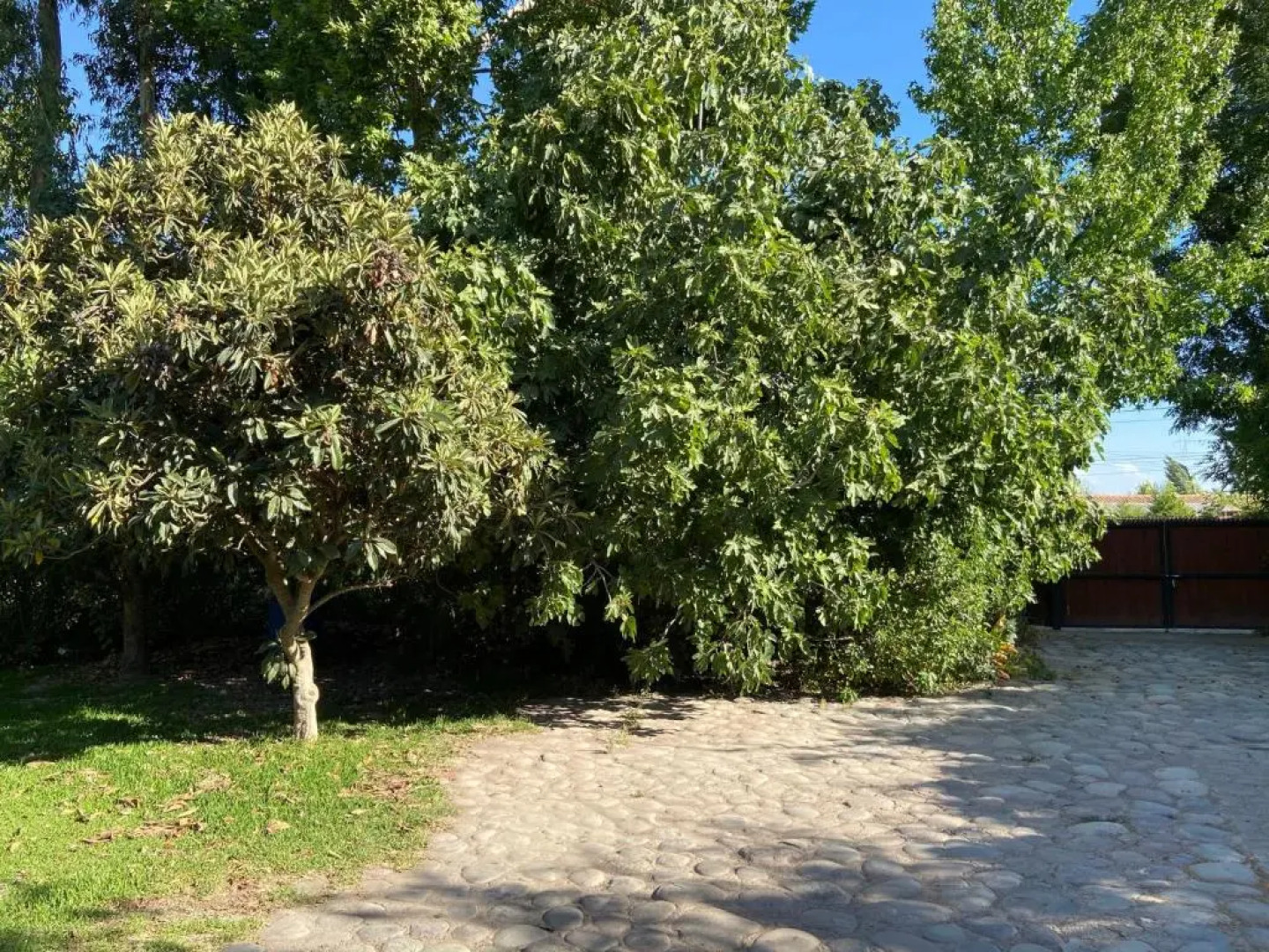 Hermosa parcela de agrado