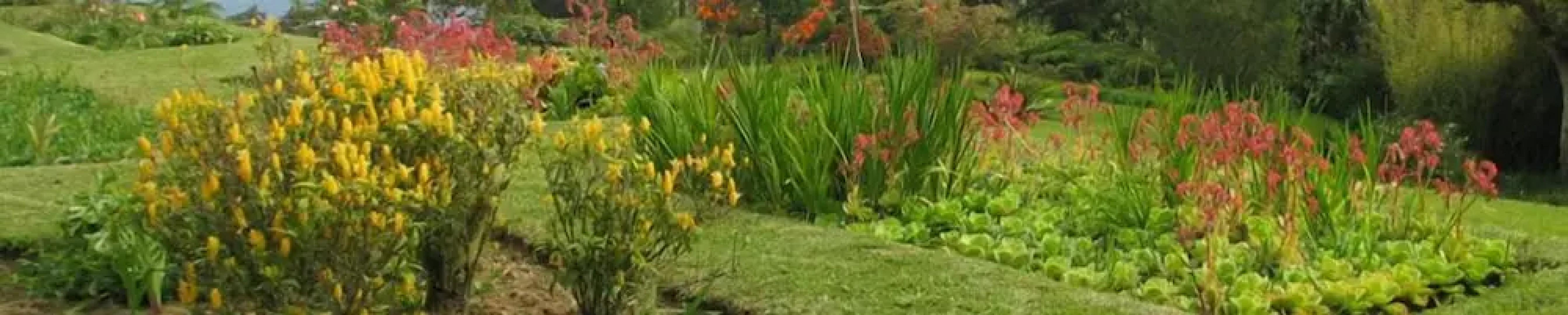 Forres Park Resort & Spa