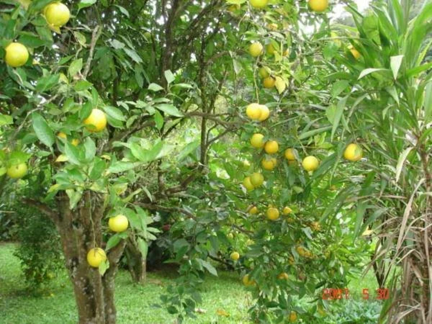 Pousada Recanto do Pinheirão
