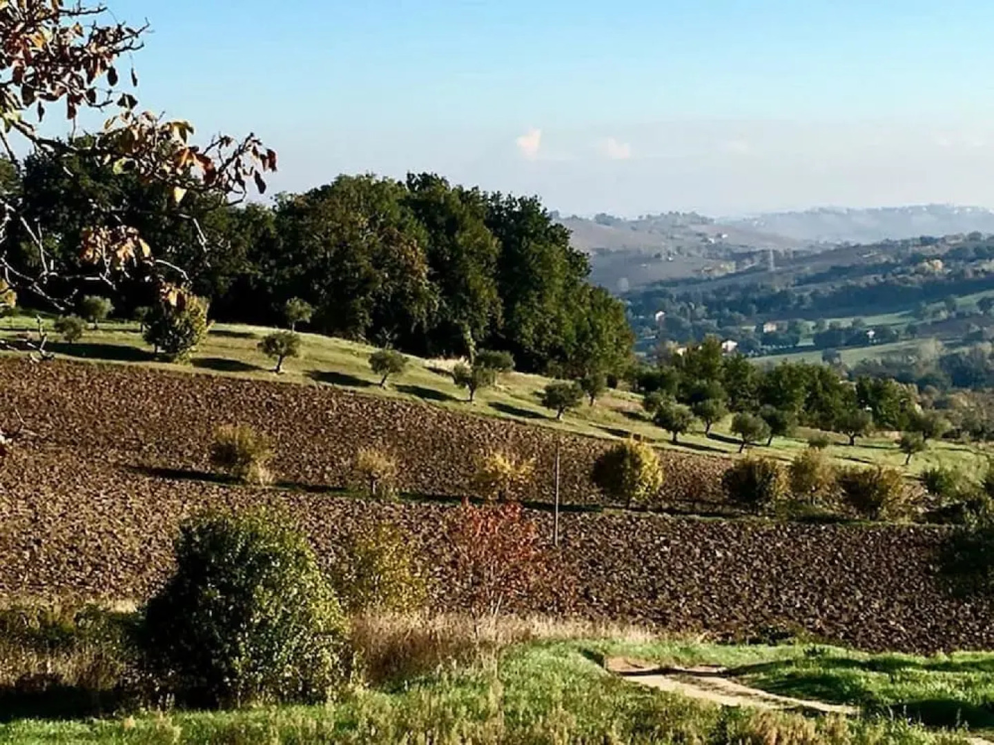 Il Casale di Aurora Country House