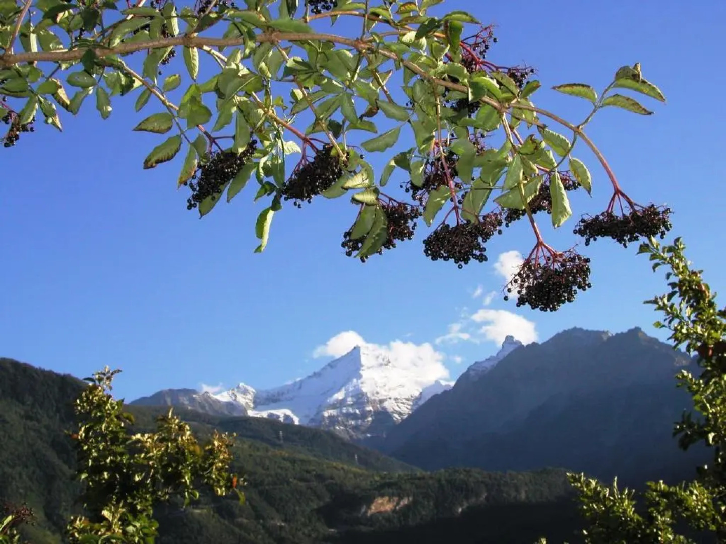 Agriturismo Verger Plein Soleil