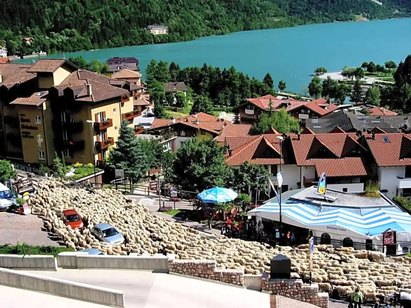 Albergo Stella Alpina