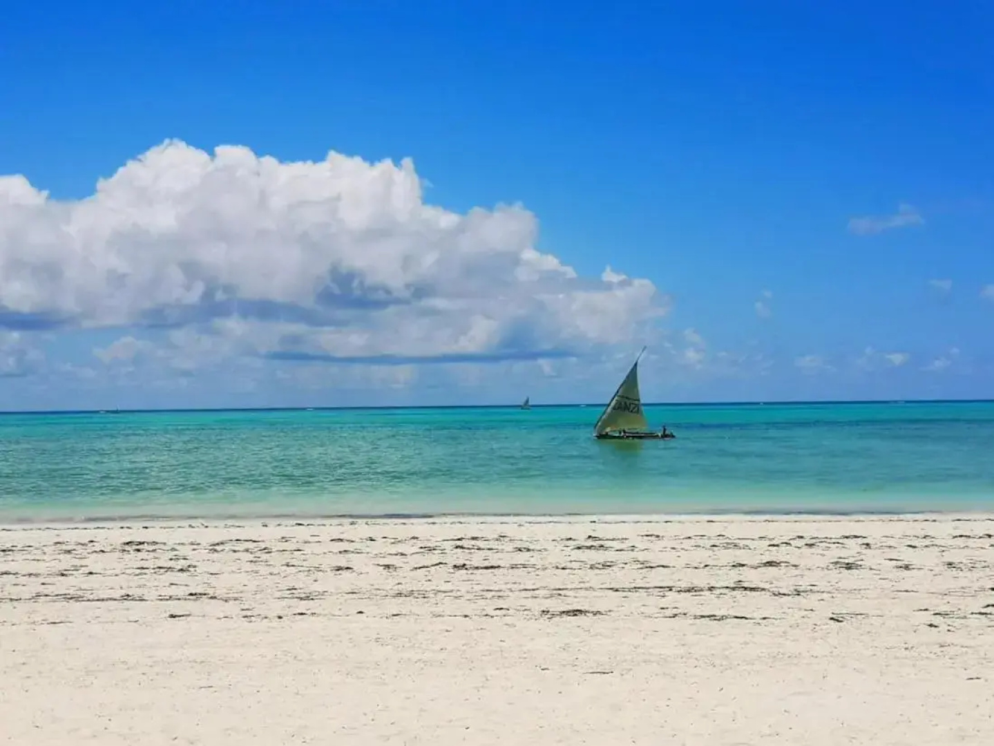 SBH Monica Zanzibar