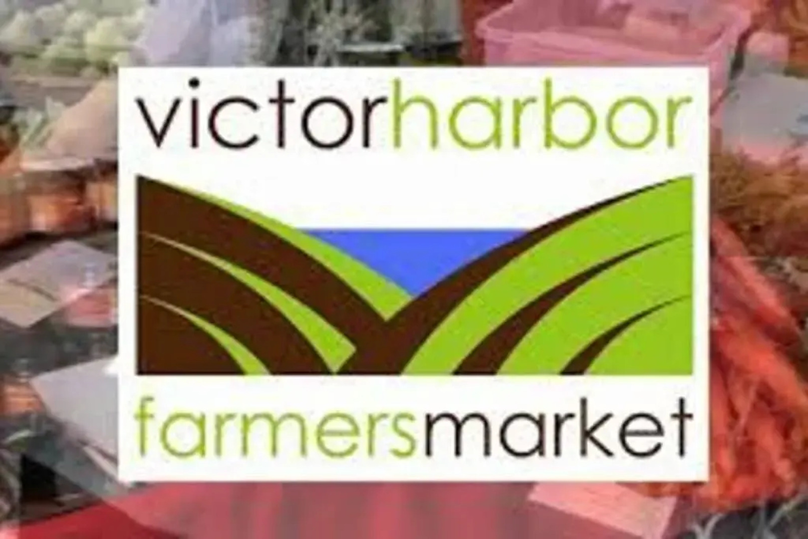 Victor Central Cottage Perfect Location