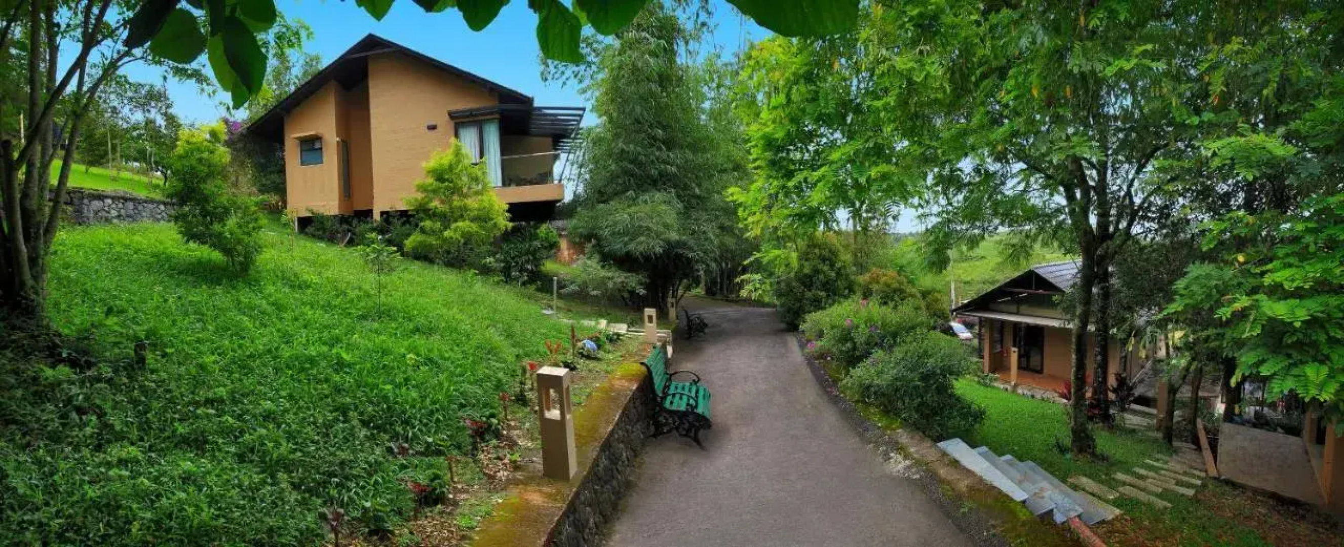 Tea Terrain Resorts & Spa