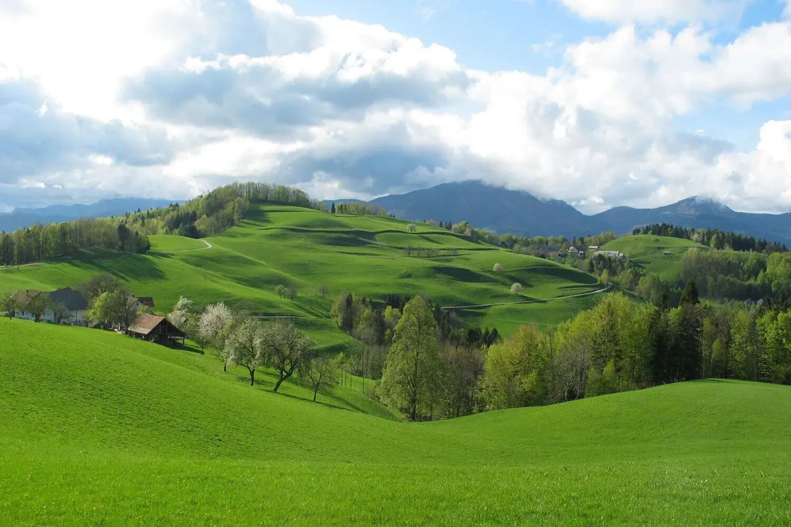 Tourist Farm Ljubica