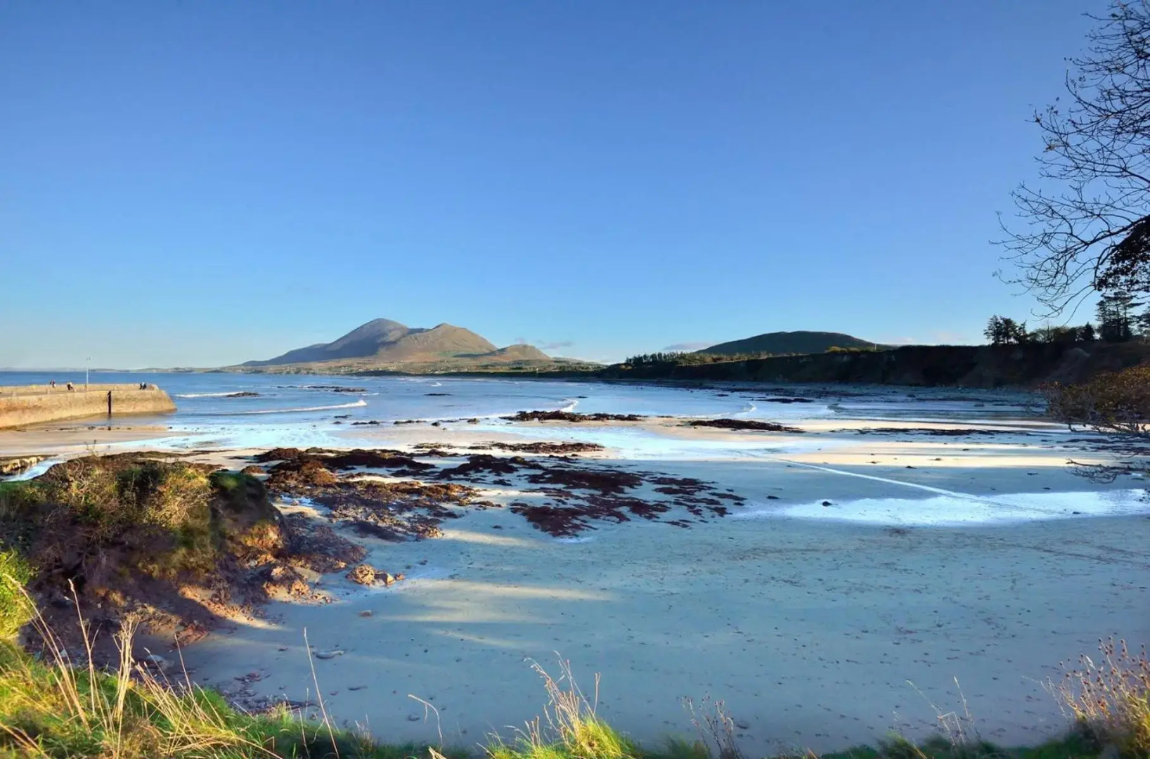 The Cottage Hillside