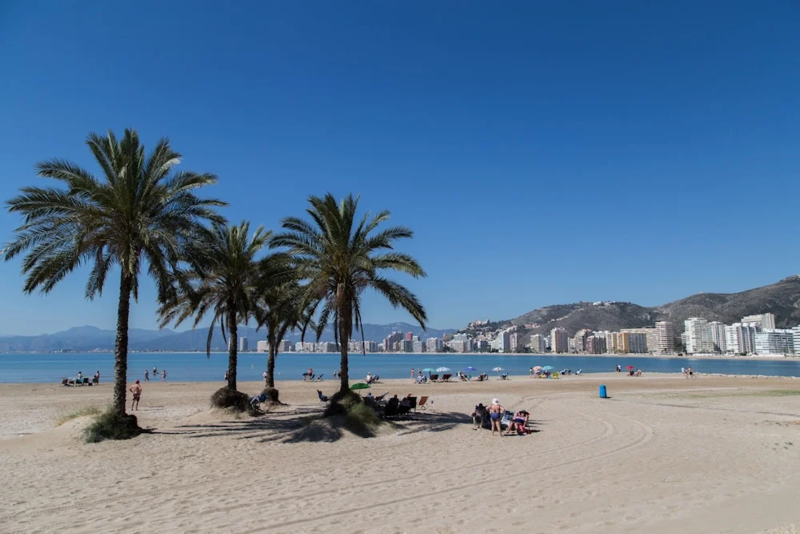 Los Olivos Apartment