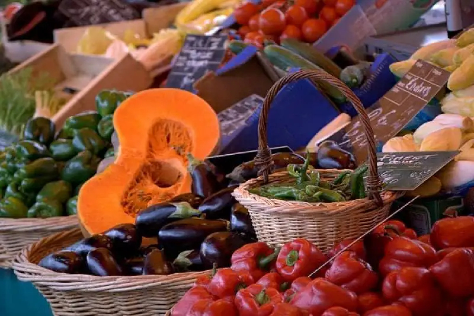 Terres de France Prayssac