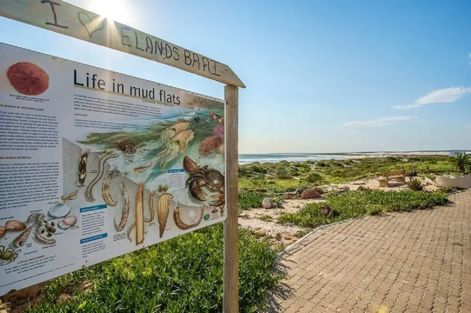 Fork West Apartments - Ground Floor 4