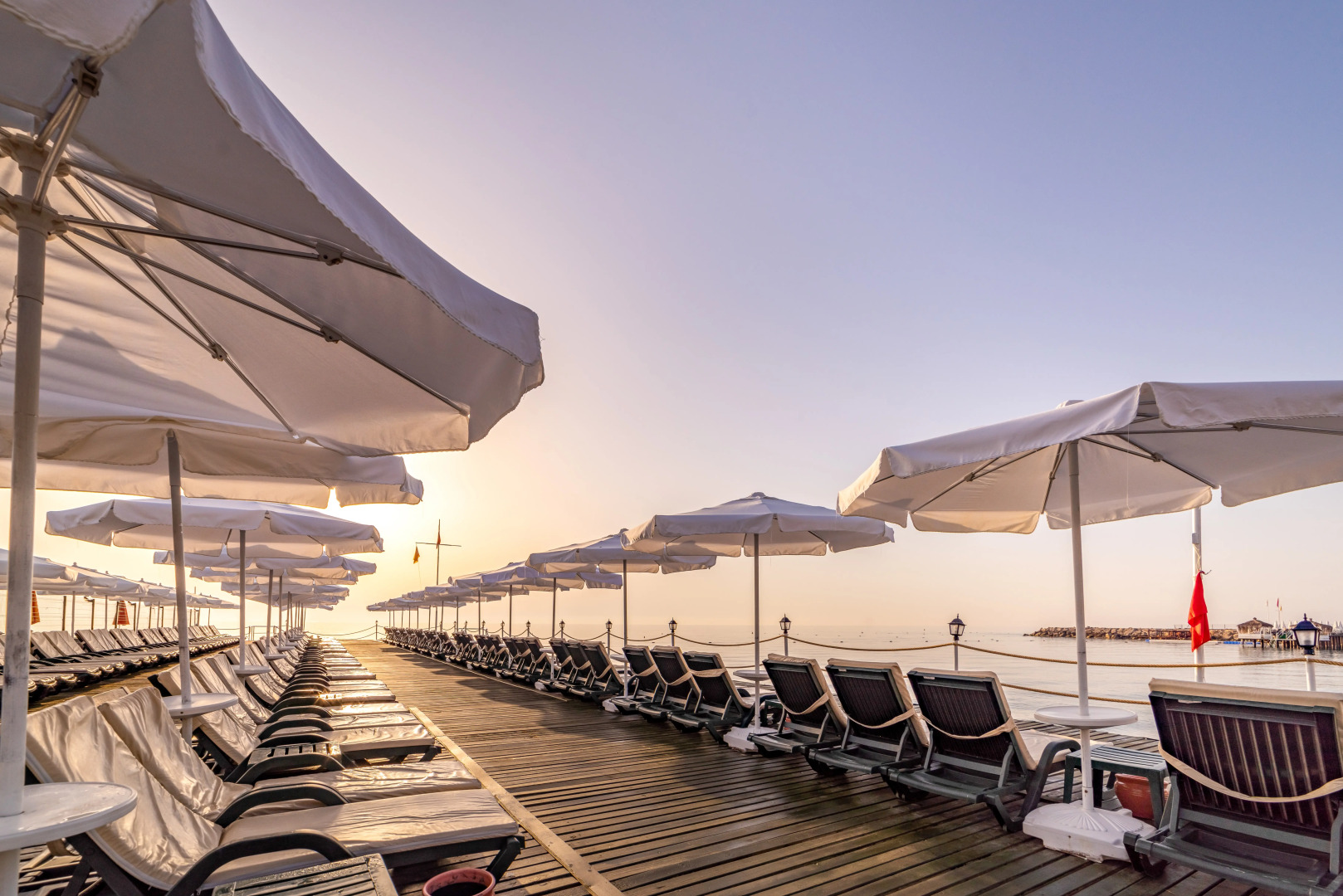 Gypsophila Club Marine