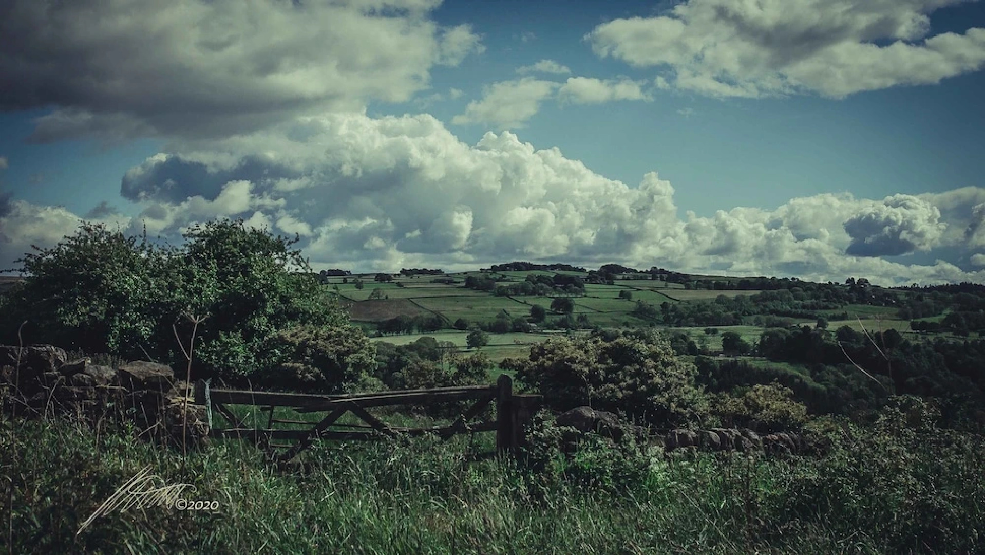 The Elks Head – Whitfield
