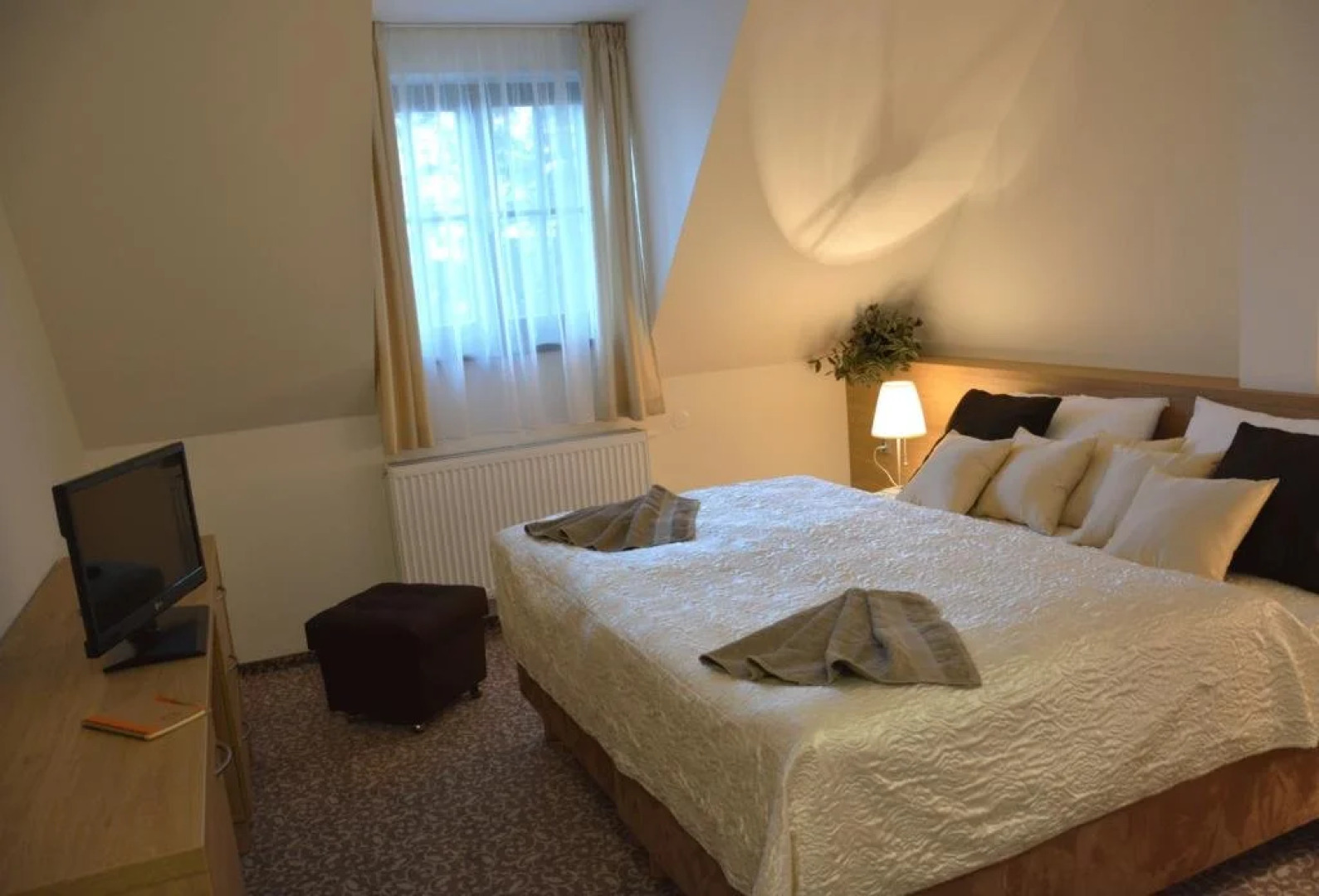 Hotel Zámek Velká Bystřice