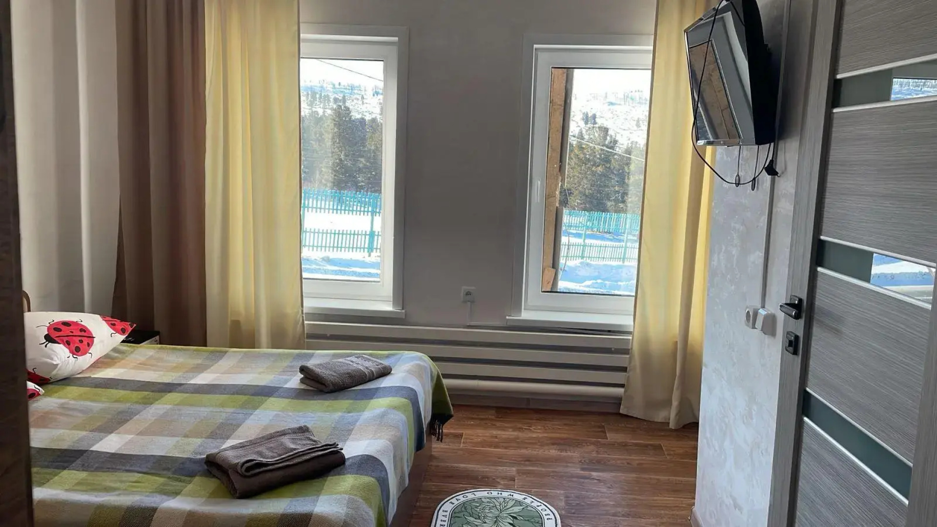 Кедр Золотой