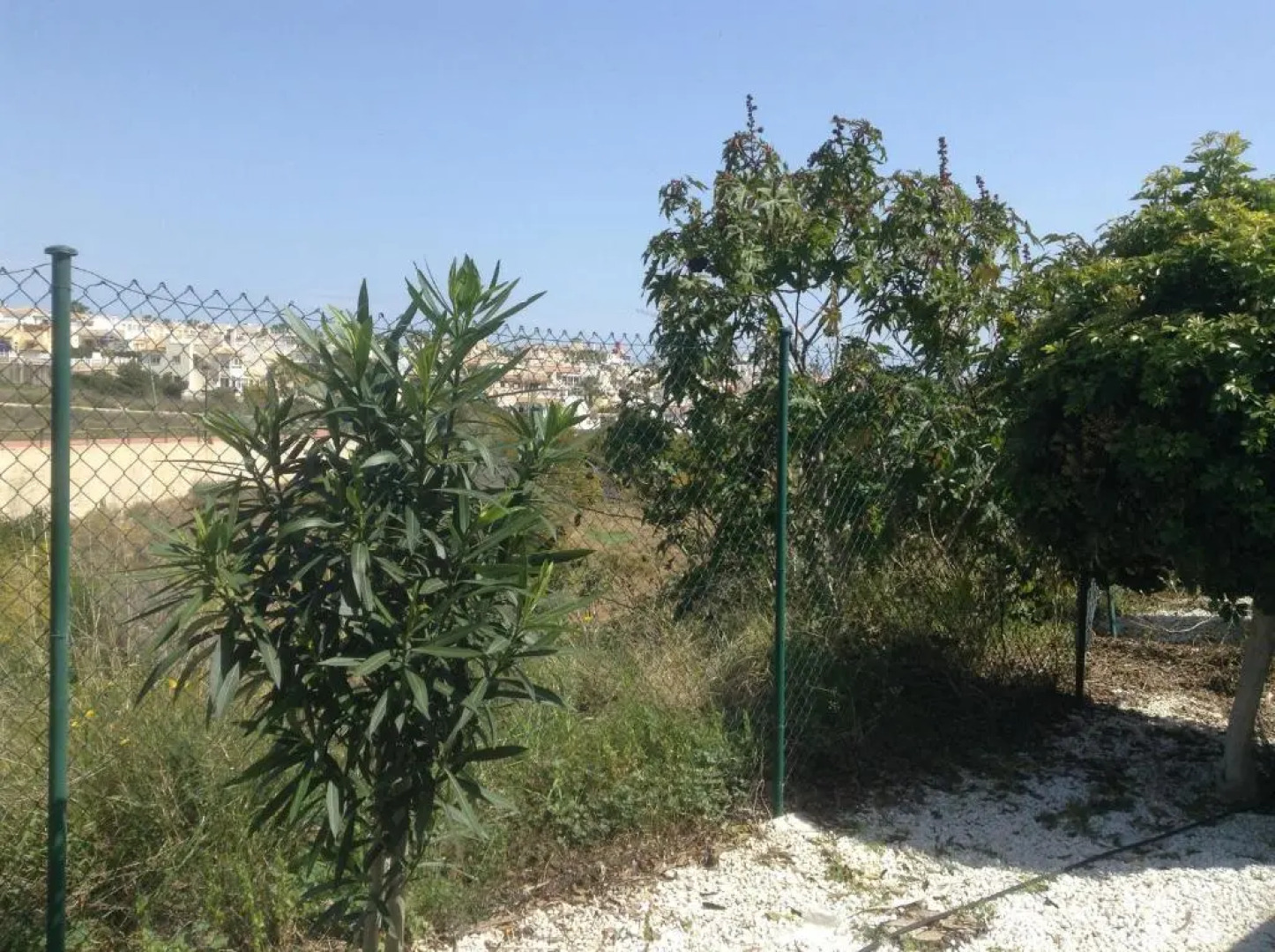 Calle jose Maria sicilia 466