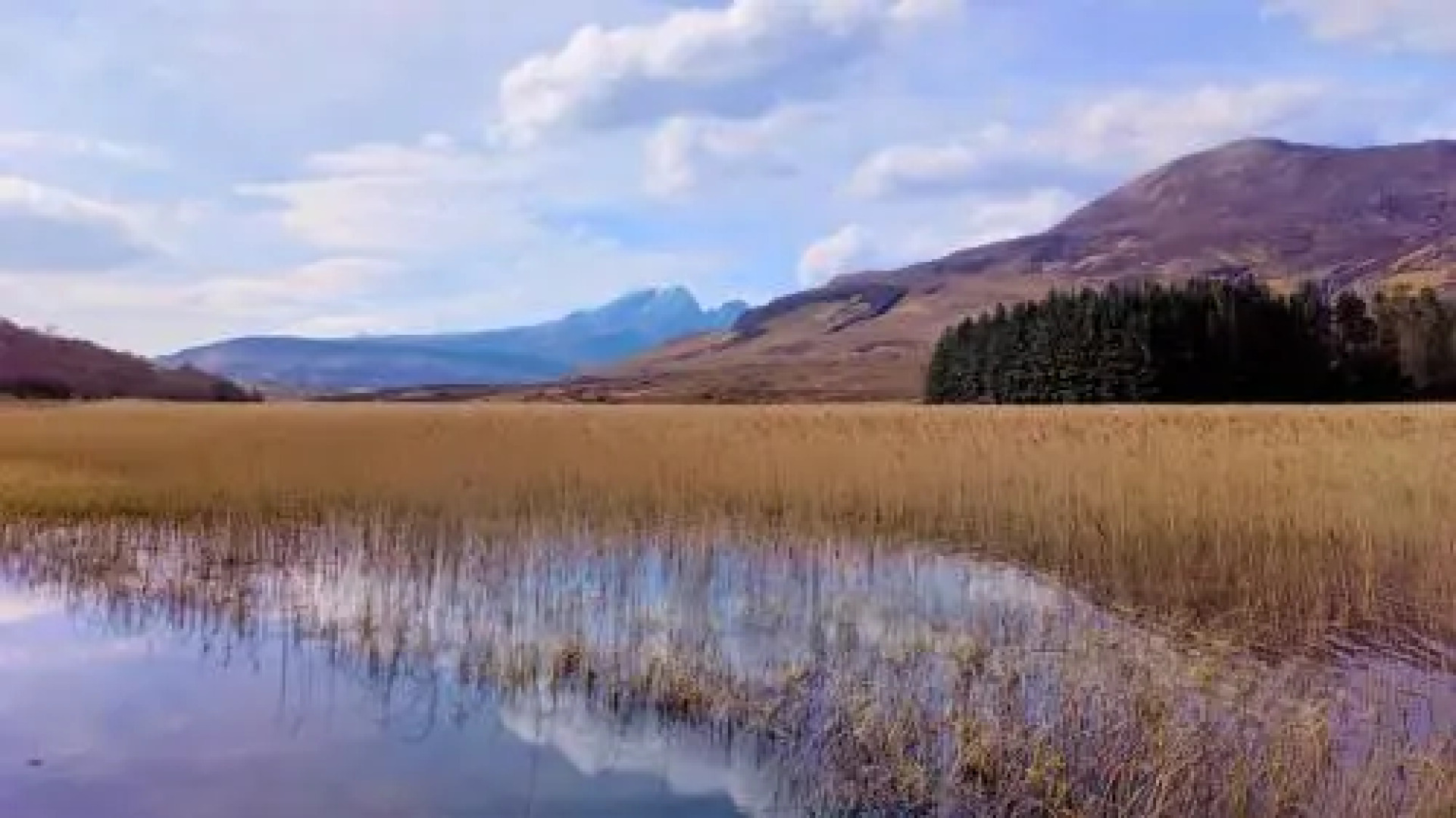 Serendipity Bed And Breakfast