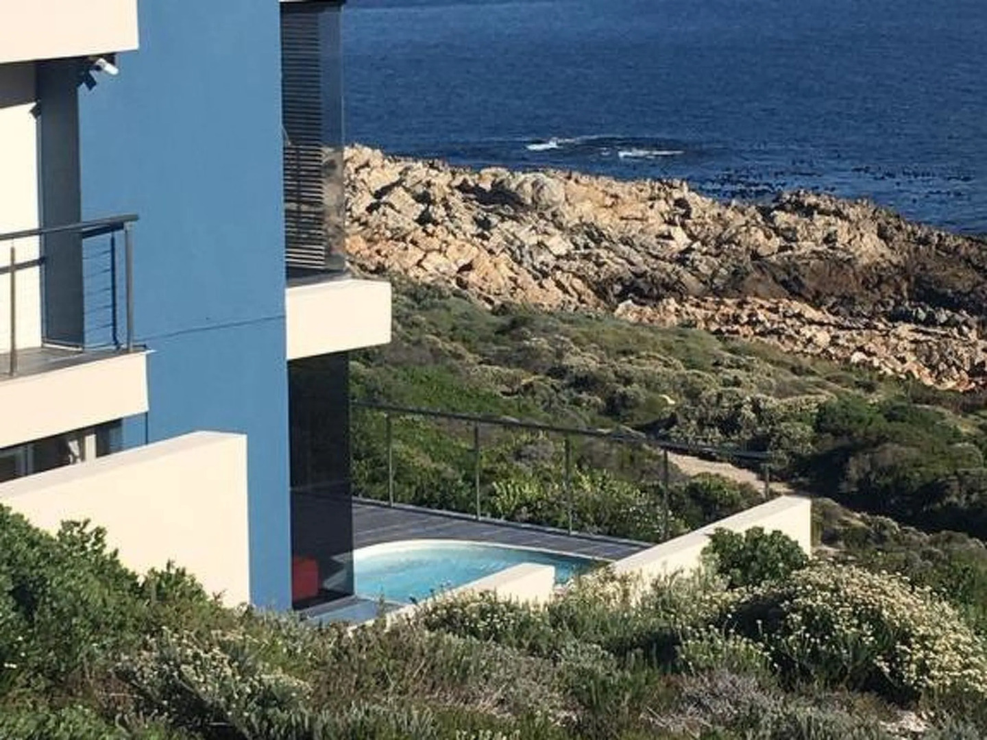 Royal Whale Watching