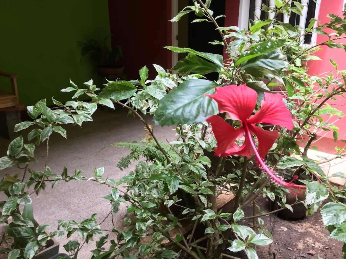 El Caite - Hostel