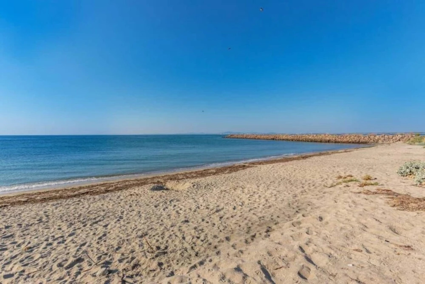 Charming 1-bed Apartment in Aheloy