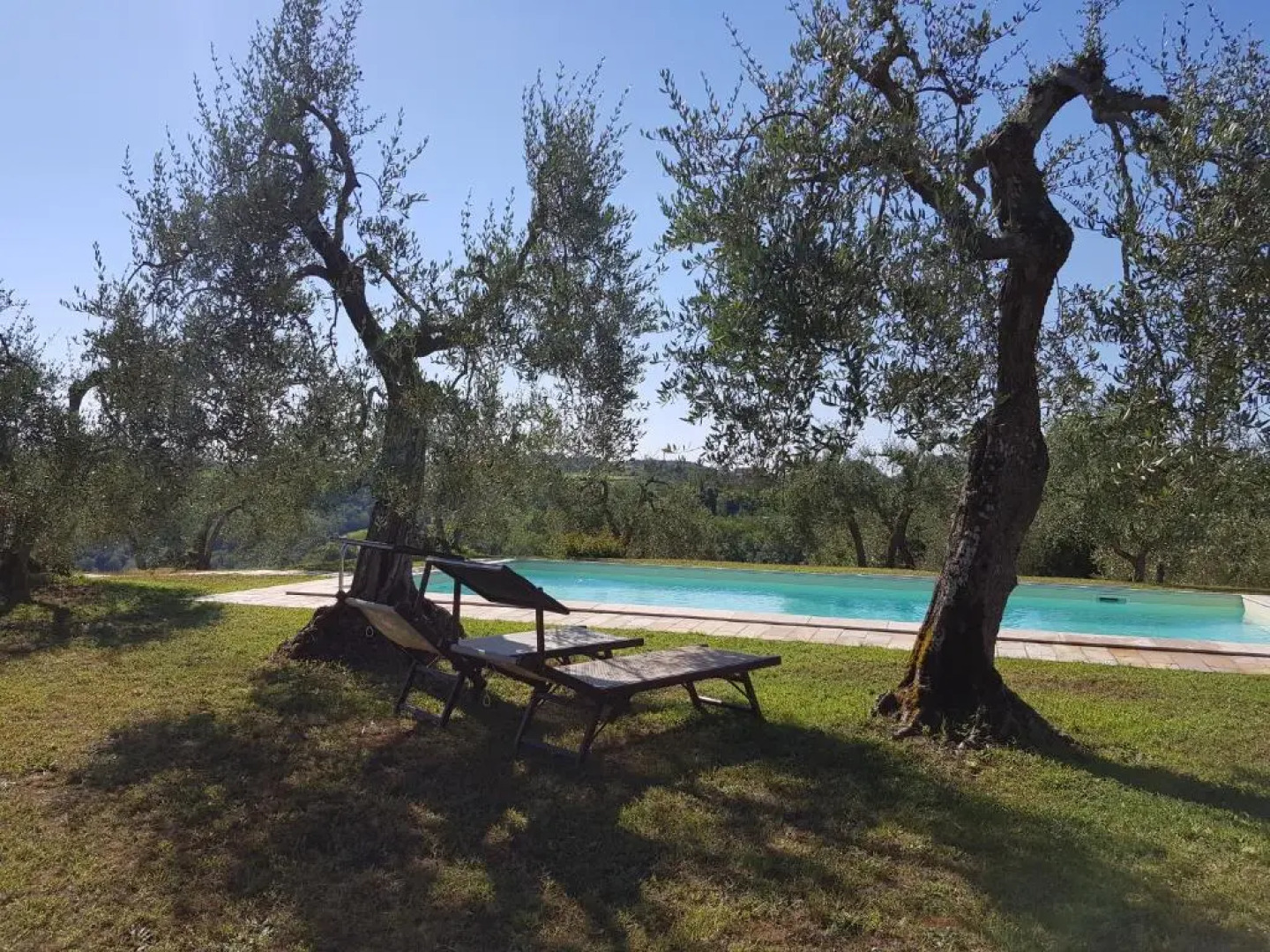 Azienda Agricola Le Querce