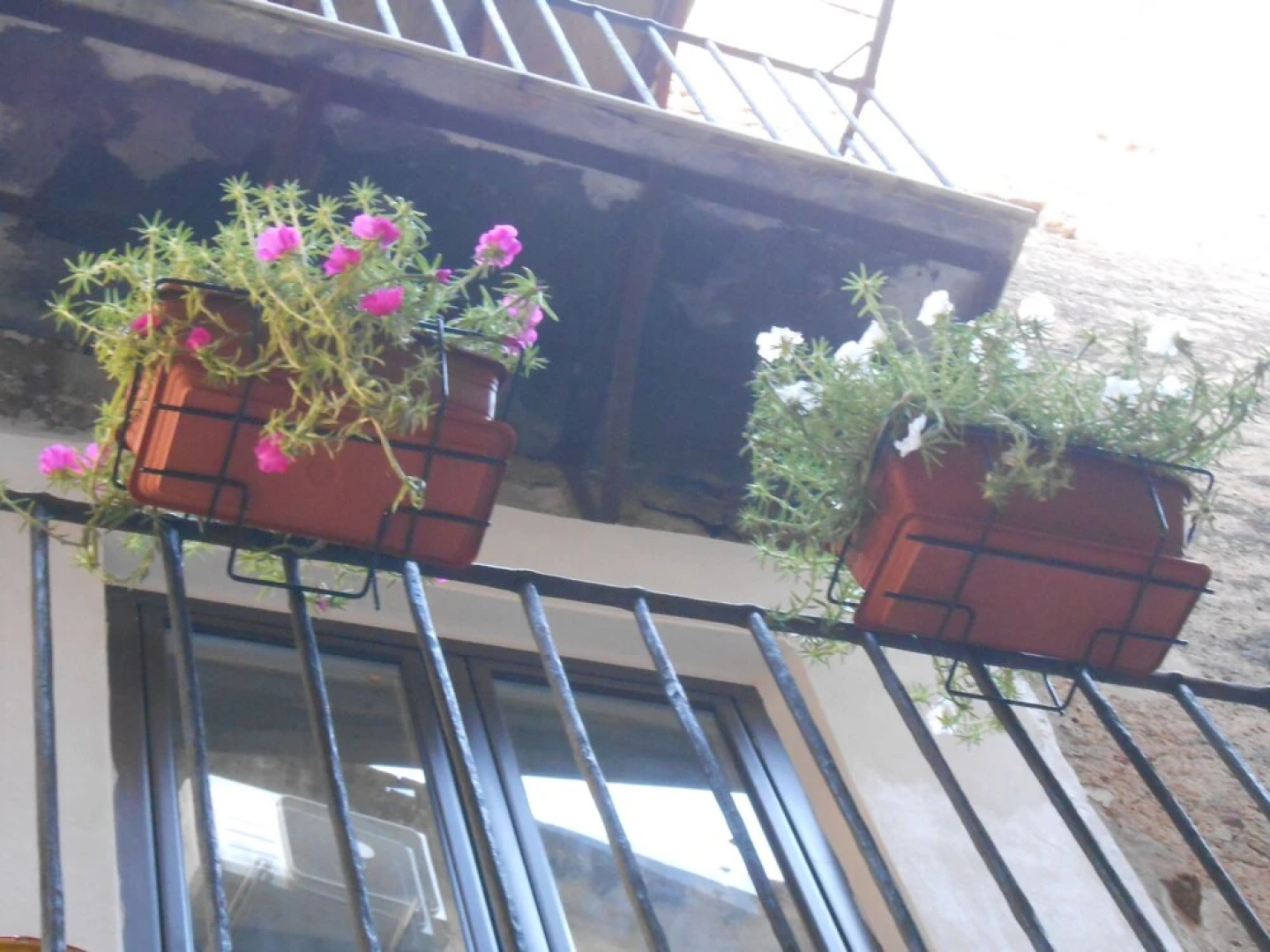 Casa San Domenico - 5 Beds