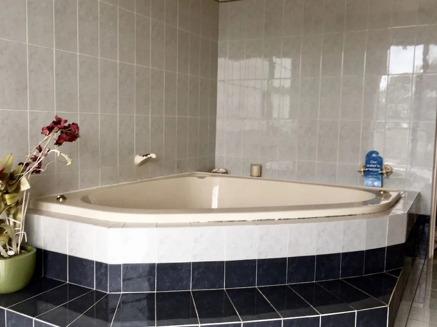 Seaview Bed and Breakfast