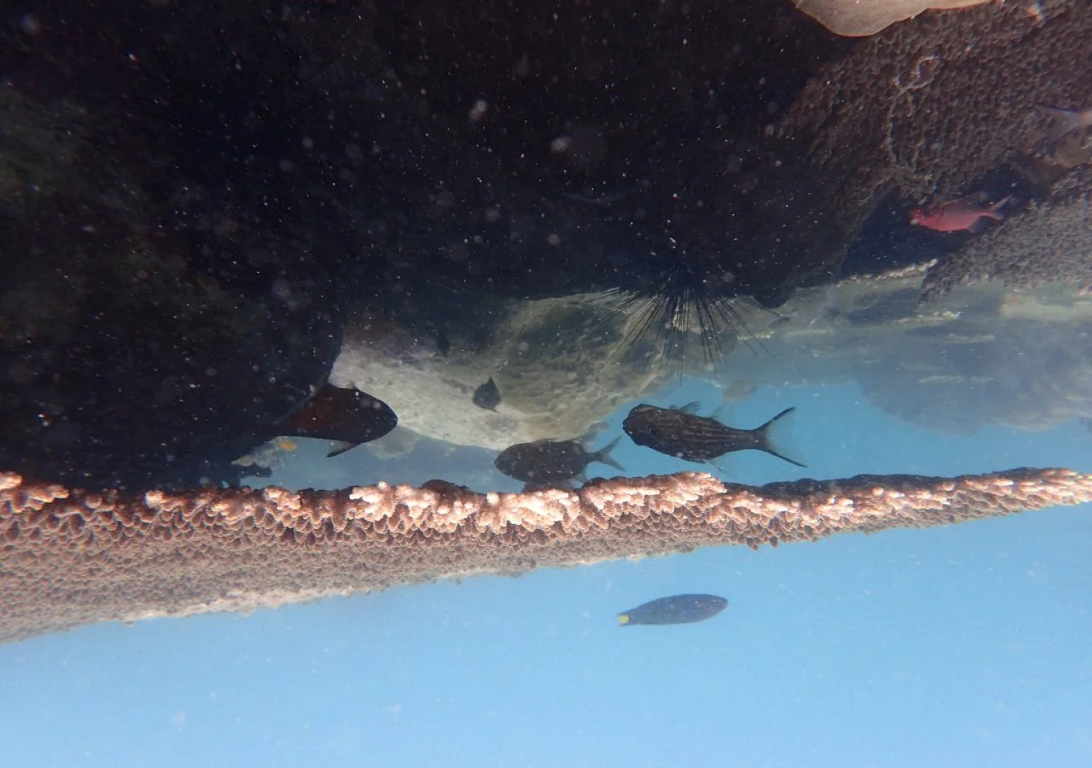 Samloem Laguna Resort