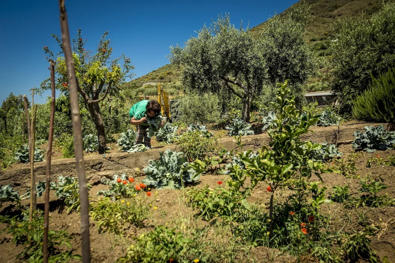 Hotel Residence Al Belvedere Salina